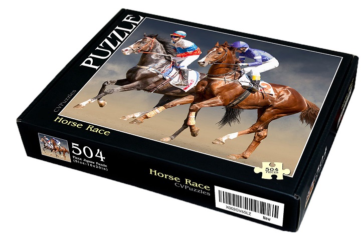 horse race puzzle